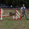 foire-haricots 2011-09-17et18